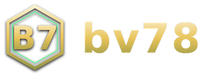 bv78 logo